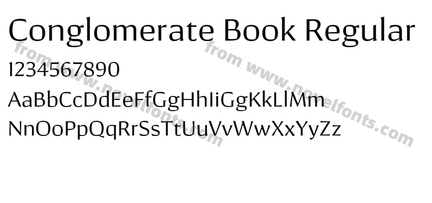 Conglomerate Book RegularPreview