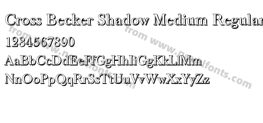 Cross Becker Shadow Medium RegularPreview