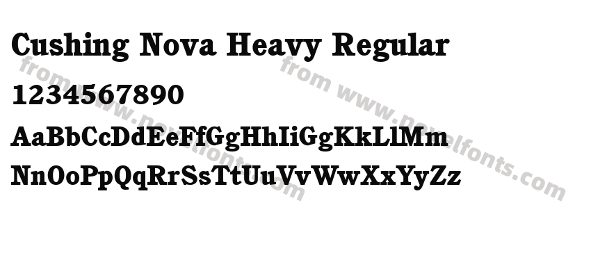 Cushing Nova Heavy RegularPreview