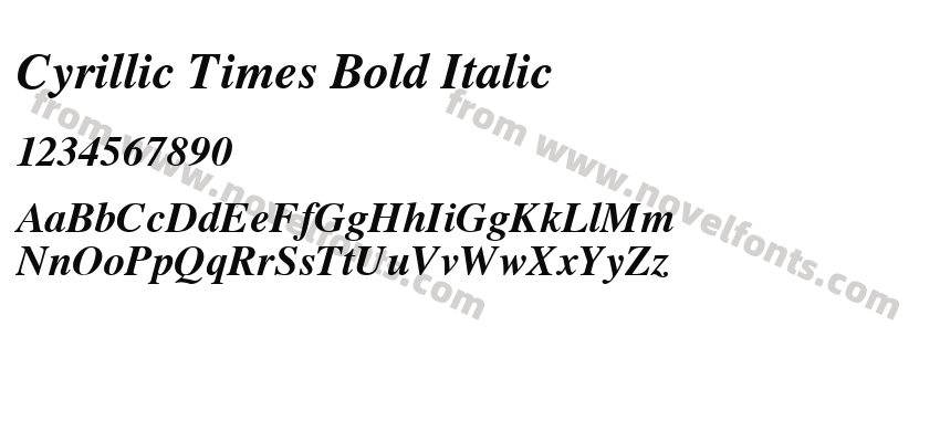 Cyrillic Times Bold ItalicPreview