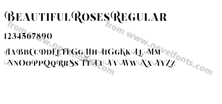 BeautifulRosesRegularPreview