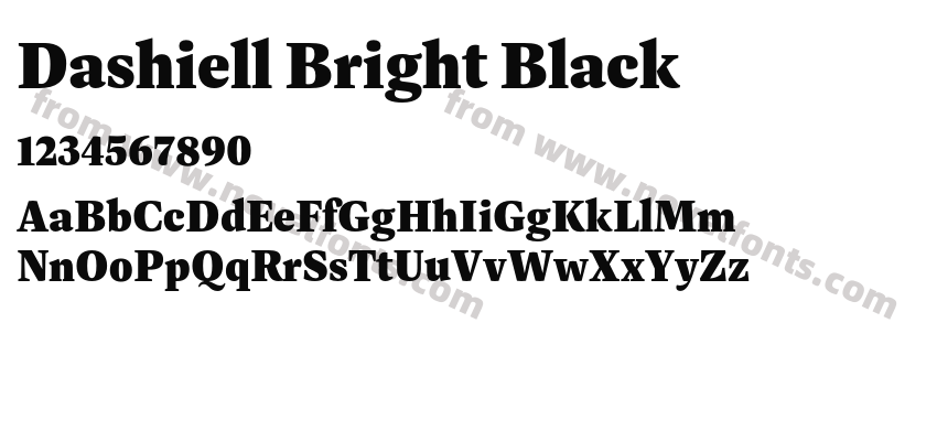 Dashiell Bright BlackPreview