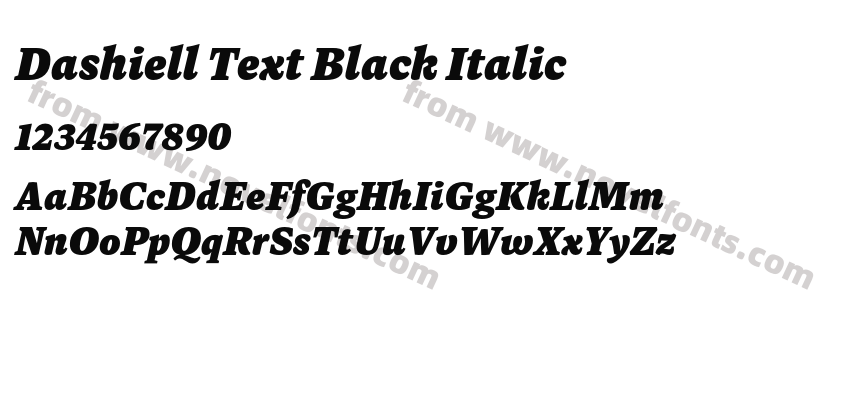 Dashiell Text Black ItalicPreview