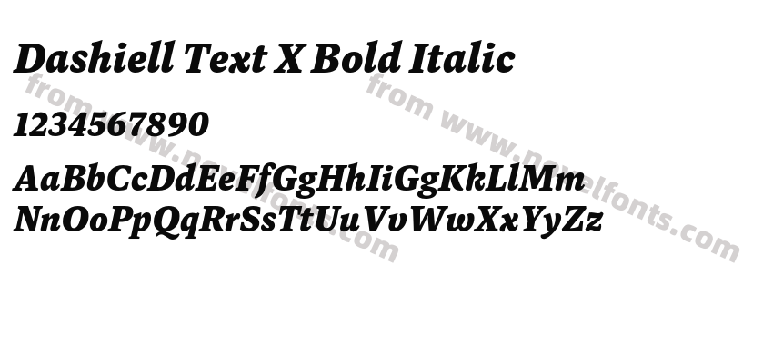 Dashiell Text X Bold ItalicPreview