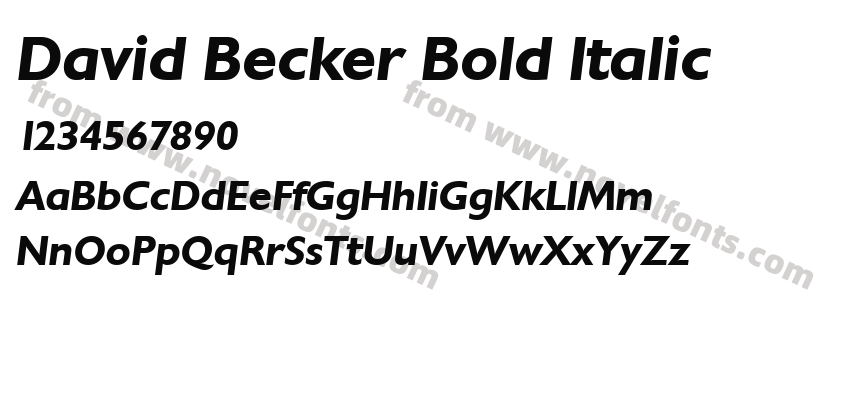 David Becker Bold ItalicPreview