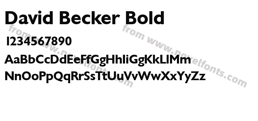 David Becker BoldPreview