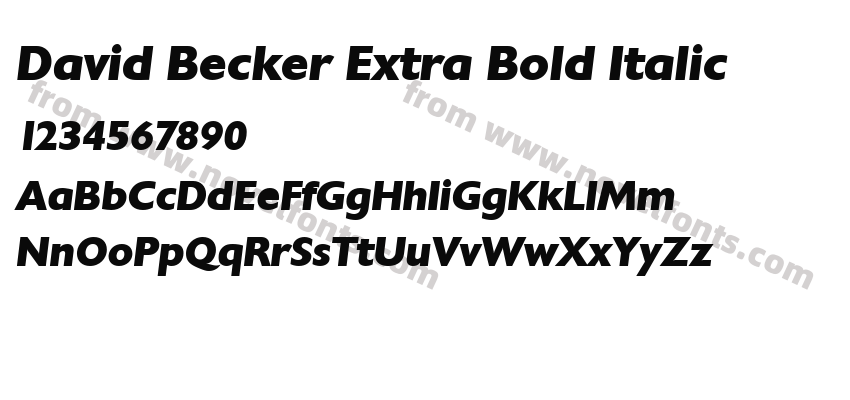 David Becker Extra Bold ItalicPreview