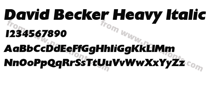 David Becker Heavy ItalicPreview