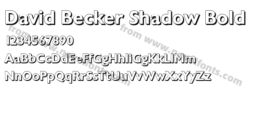 David Becker Shadow BoldPreview