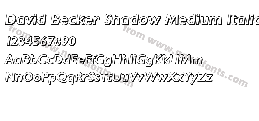 David Becker Shadow Medium ItalicPreview