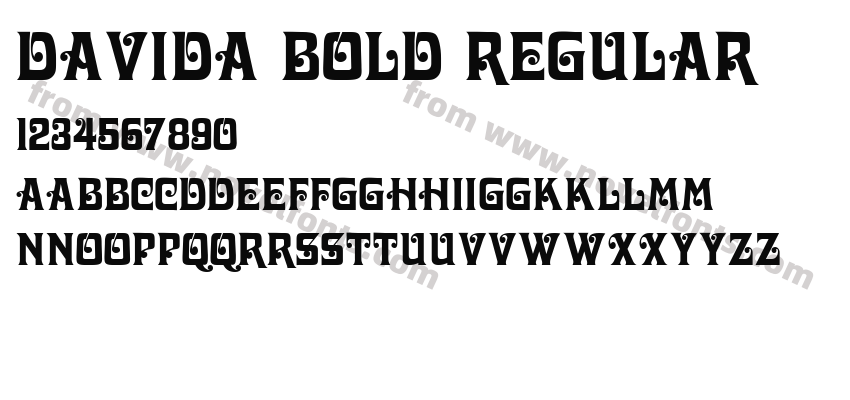 Davida Bold RegularPreview