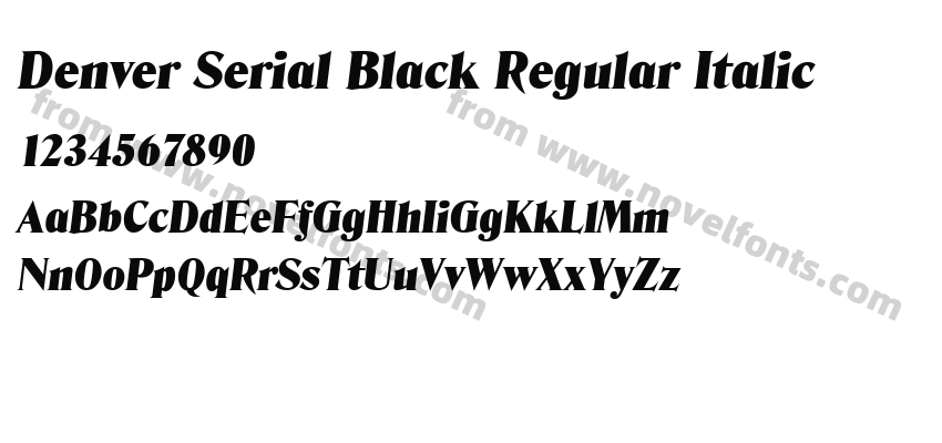 Denver Serial Black Regular ItalicPreview