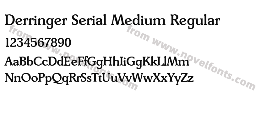 Derringer Serial Medium RegularPreview