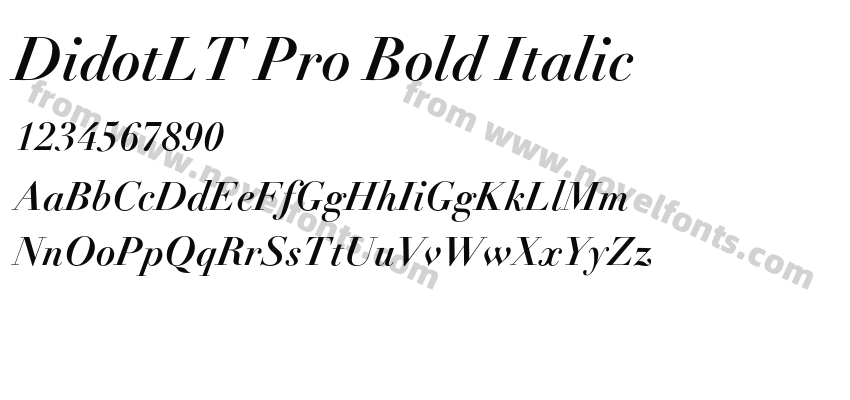 DidotLT Pro Bold ItalicPreview