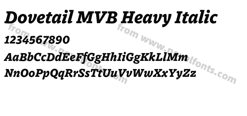 Dovetail MVB Heavy ItalicPreview