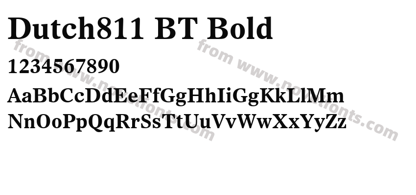 Dutch811 BT BoldPreview