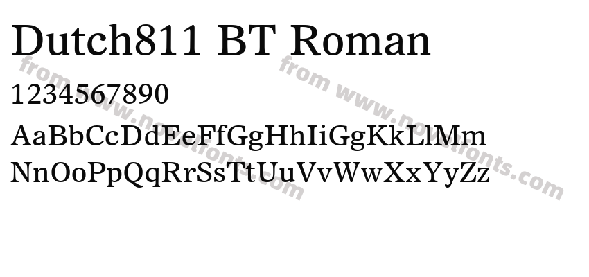 Dutch811 BT RomanPreview