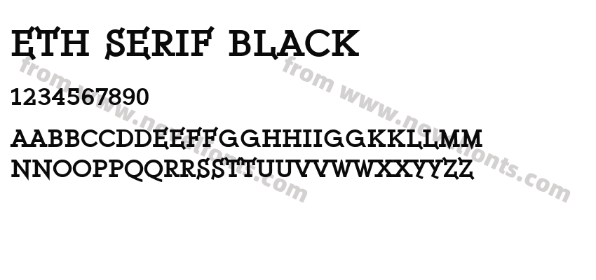 ETH Serif BlackPreview