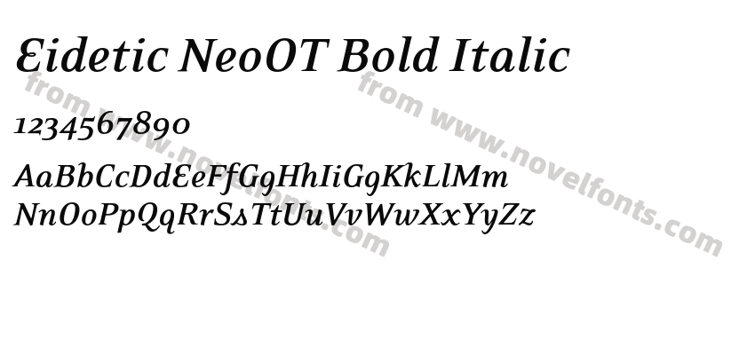 Eidetic NeoOT Bold ItalicPreview