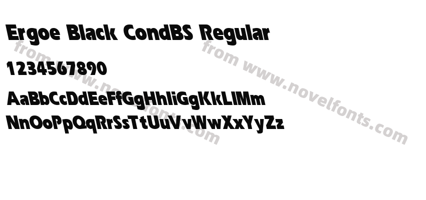 Ergoe Black CondBS RegularPreview