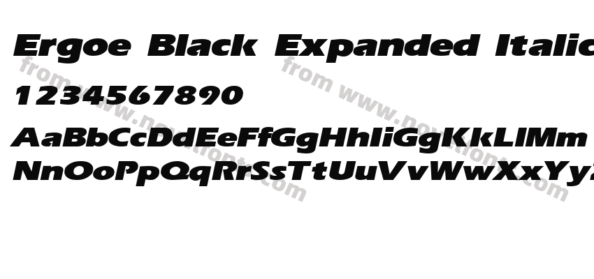 Ergoe Black Expanded ItalicPreview