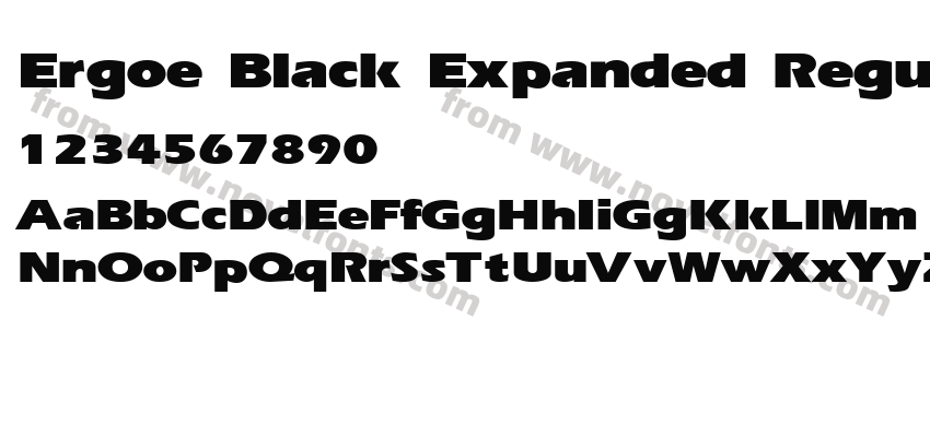 Ergoe Black Expanded RegularPreview