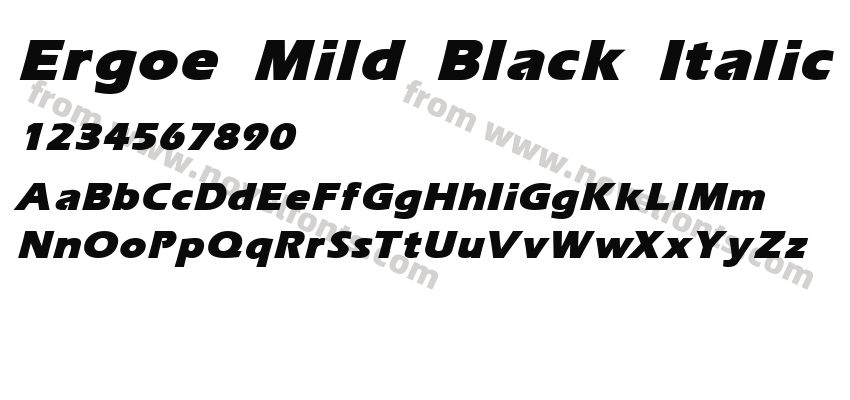 Ergoe Mild Black ItalicPreview