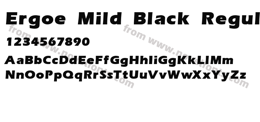 Ergoe Mild Black RegularPreview