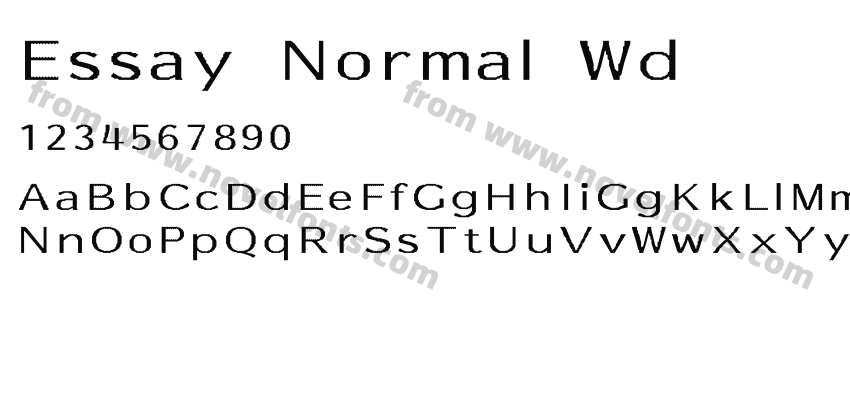 Essay Normal WdPreview