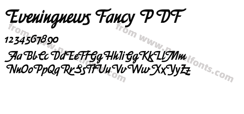 Eveningnews Fancy PDFPreview