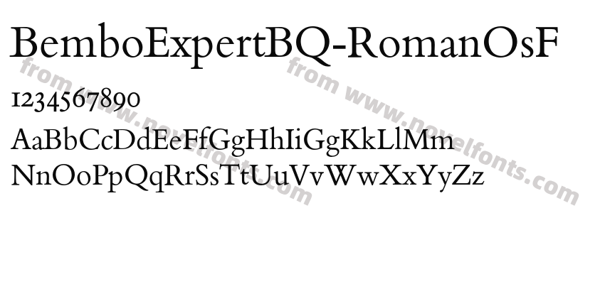 BemboExpertBQ-RomanOsFPreview