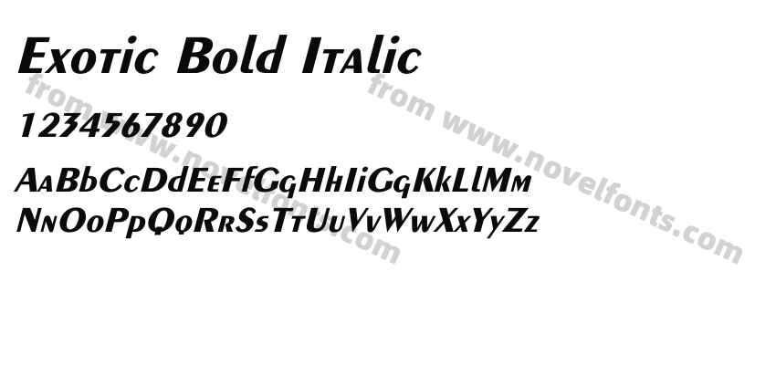 Exotic-Bold ItalicPreview