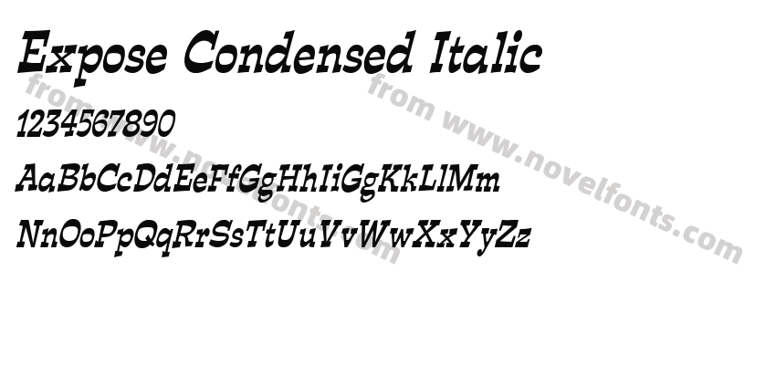 Expose Condensed ItalicPreview