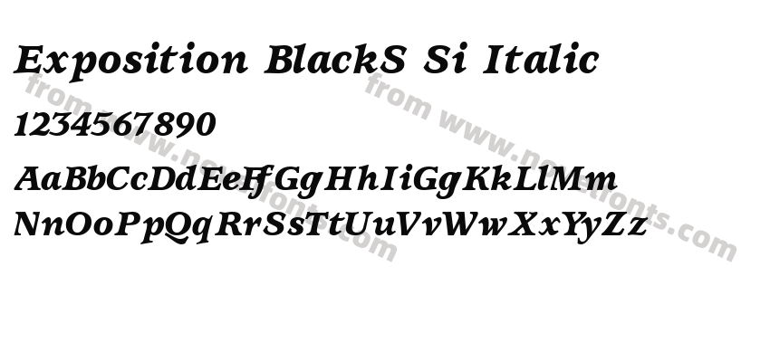 Exposition BlackS Si ItalicPreview