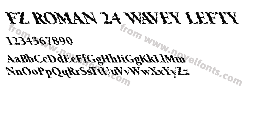 FZ ROMAN 24 WAVEY LEFTYPreview