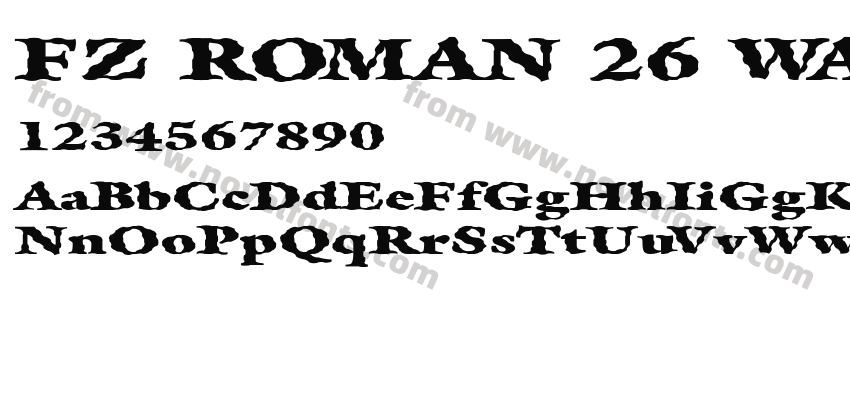 FZ ROMAN 26 WAVEY EXPreview