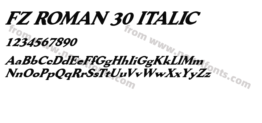 FZ ROMAN 30 ITALICPreview