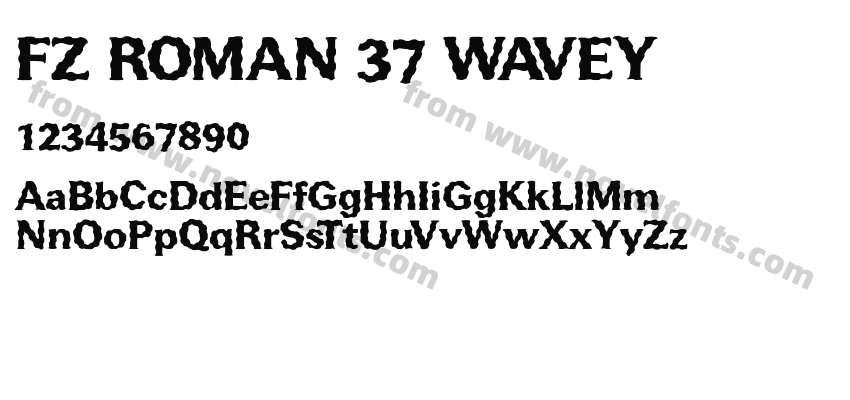 FZ ROMAN 37 WAVEYPreview