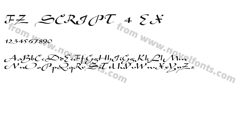 FZ SCRIPT 4 EXPreview