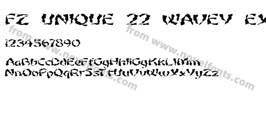 FZ UNIQUE 22 WAVEY EXPreview