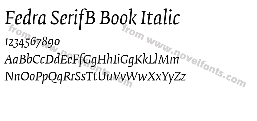 Fedra SerifB Book ItalicPreview