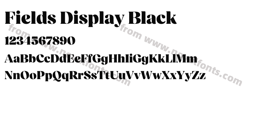 Fields Display BlackPreview