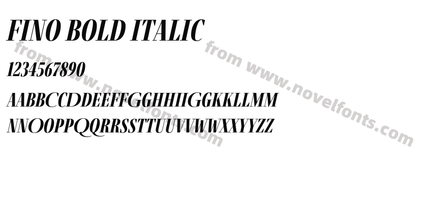 Fino Bold ItalicPreview