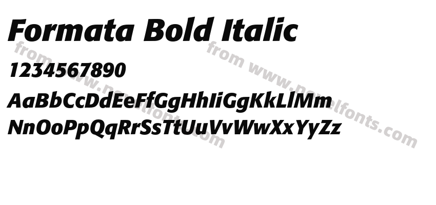 Formata Bold ItalicPreview