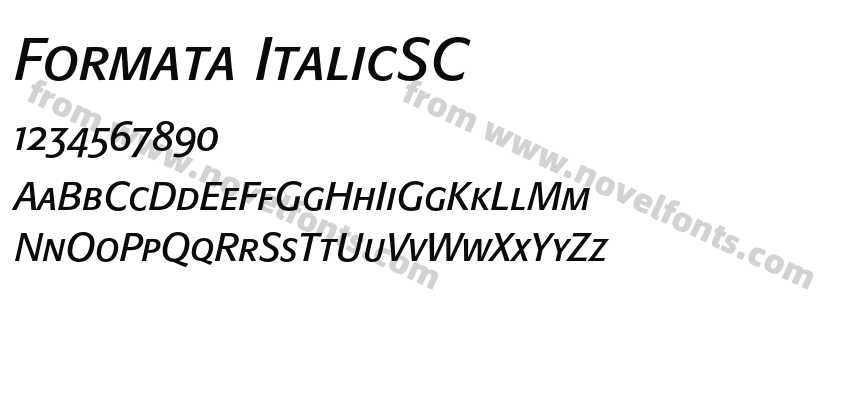 Formata ItalicSCPreview