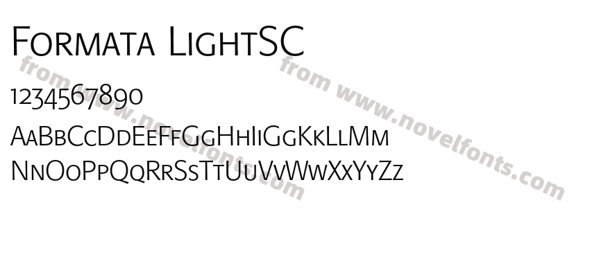 Formata LightSCPreview