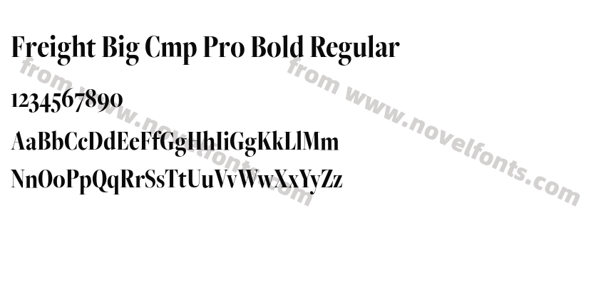 Freight Big Cmp Pro Bold RegularPreview