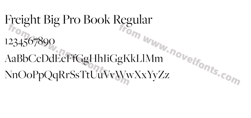 Freight Big Pro Book RegularPreview