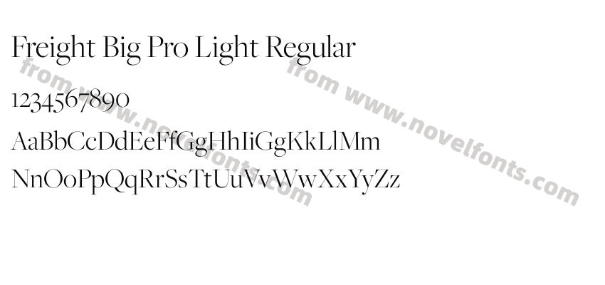 Freight Big Pro Light RegularPreview