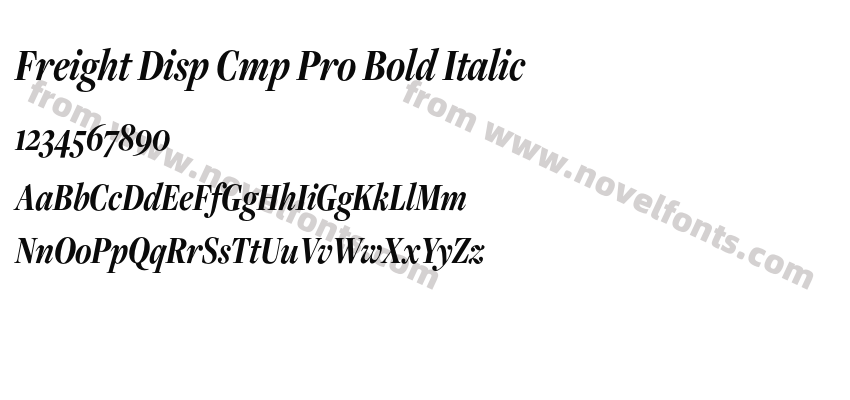 Freight Disp Cmp Pro Bold ItalicPreview